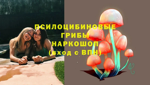 амф Беломорск