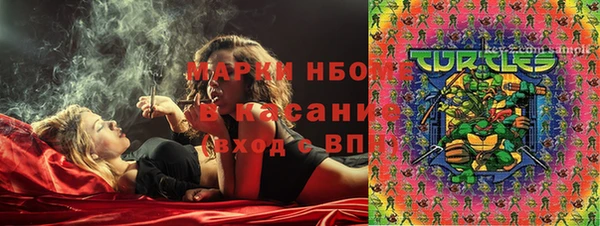 эйфоретик Ельня