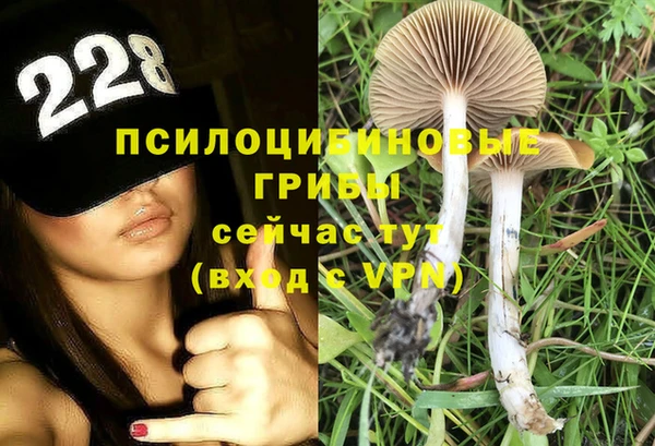 ALPHA PVP Белокуриха